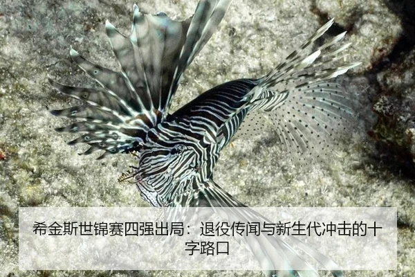 xi-jin-si-shi-jin-sai-si-qiang-chu-ju-tui-yi-chuan-wen-yu-xin-sheng-dai-chong-ji-de-shi-zi-lu-kou-2-915.jpg